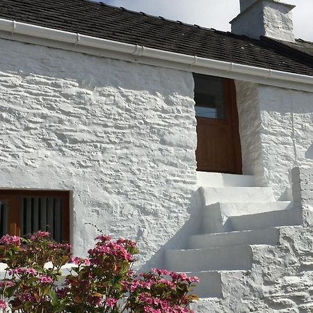 Little Barn Cottage Newport  Bagian luar foto